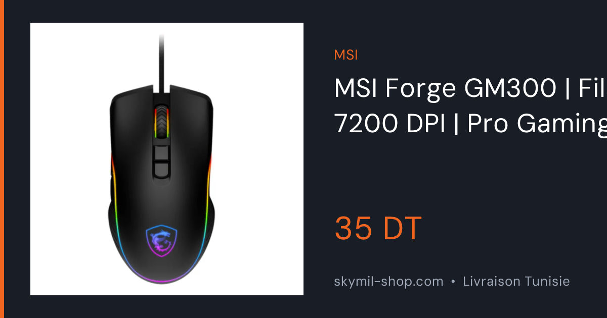Souris Gamer MSI FORGE GM300 - Précision Optique RGB Durable