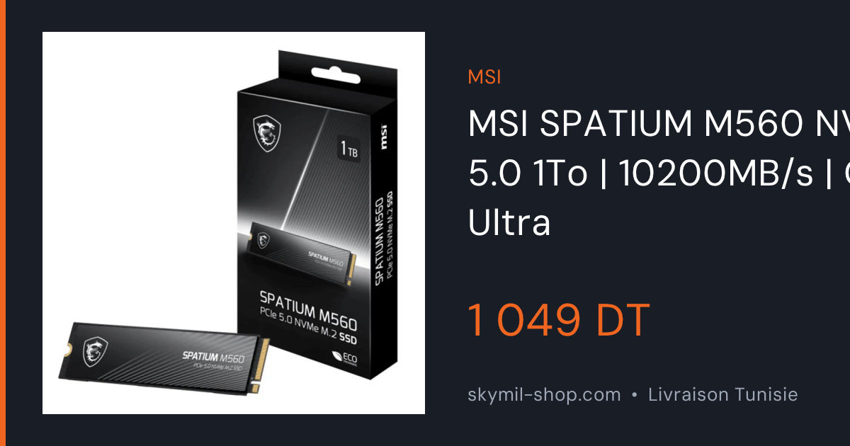 MSI SPATIUM M560 1To prix Tunisie