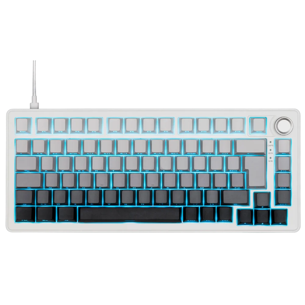G-Lab KEYZ Elite 300 HE | Hall Effect | Gravure latérale | Gris/Blanc