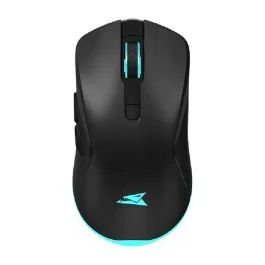 BARACUDA Turtle Noir | Sans-fil | 3200 DPI | Gamer