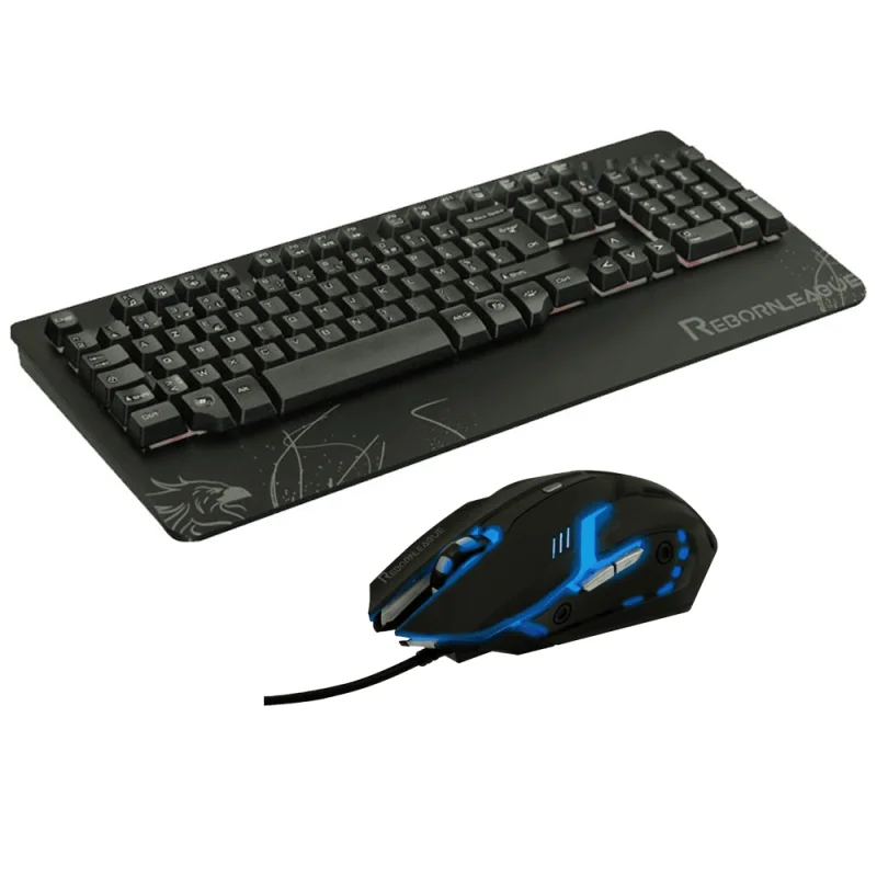 Reborn League Ensemble Clavier Souris Filaire | Tunisie